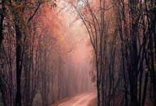 哪个股票app手续费最低:股票杠杆软件排名-两部门发布划转充实社保基金国有股权及现金收益运作管理税收政策