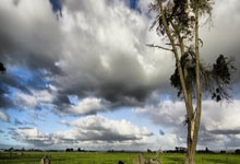 股票翘杠杆:股票的止盈的技巧-中俄朝三国领导人将在北京会晤？外交部回应