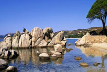 炒股配资官网查询:买股票软件哪个好-AI电力需求引发行业命运转折 美国核电站重启潮再添新例